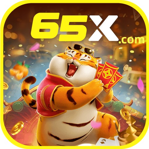 Plataforma 65x